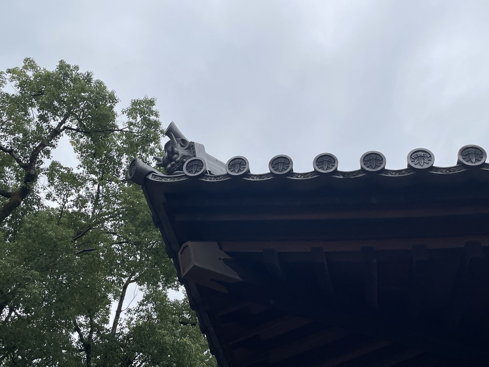 09:52 — 처마 밑. 올려다보면 이런 얼굴이다
